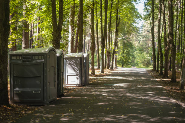 Best Portable Restroom Setup and Delivery  in Pequot Lakes, MN